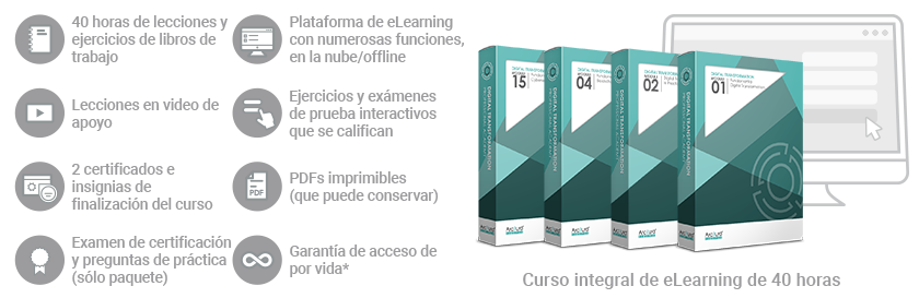 Transformación Digital: Fundamentos de Seguridad/Profesional de Seguridad de Transformación Digital (Curso/Paquete completo)