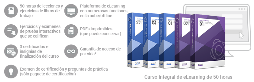Tecnología y Automatización de IA en la Nube/Profesional de IA en la Nube (Curso/Paquete completo)