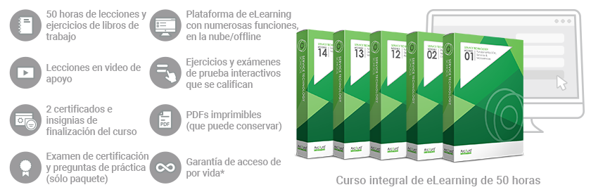 Diseño y Gestión de APIs de Servicios/Especialista en APIs de Servicios (Curso/Paquete completo)